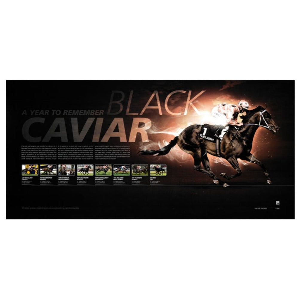 Black Caviar "A Year To Remember" Print Framed