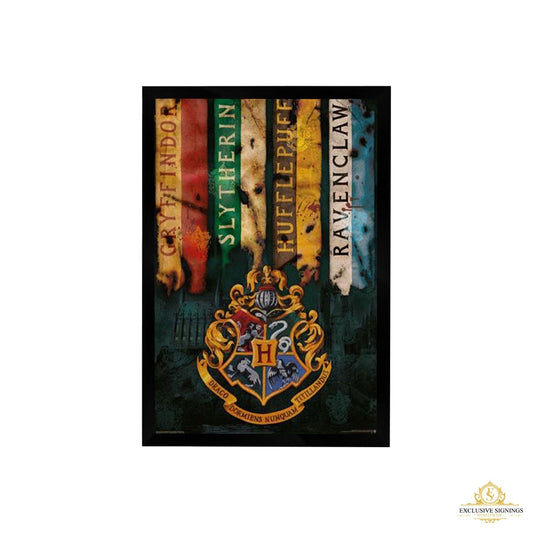 Harry Potter House Flags Poster Framed