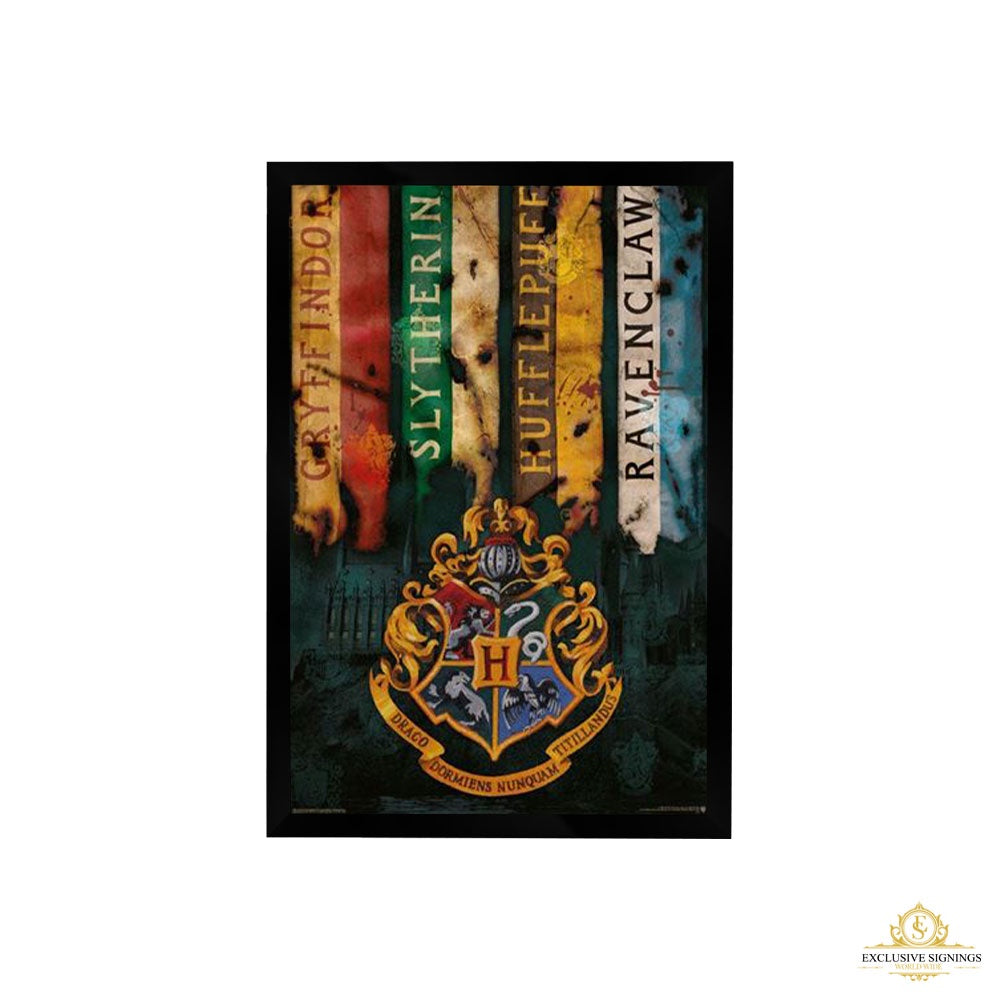 HARRY POTTER - House Flags Poster