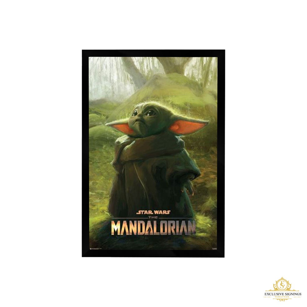 Star Wars: The Mandalorian Swamp Poster Framed
