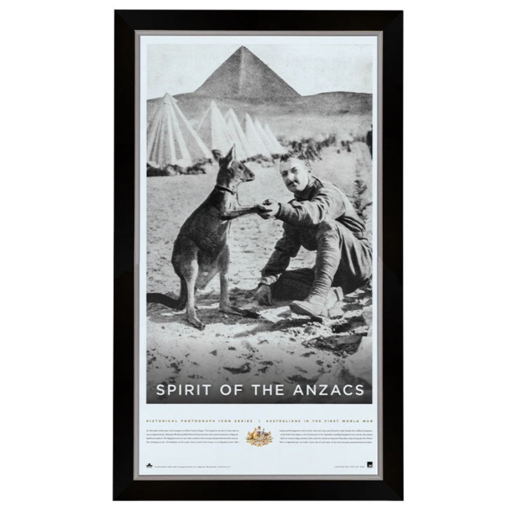 Spirit Of Anzac Portrait Framed