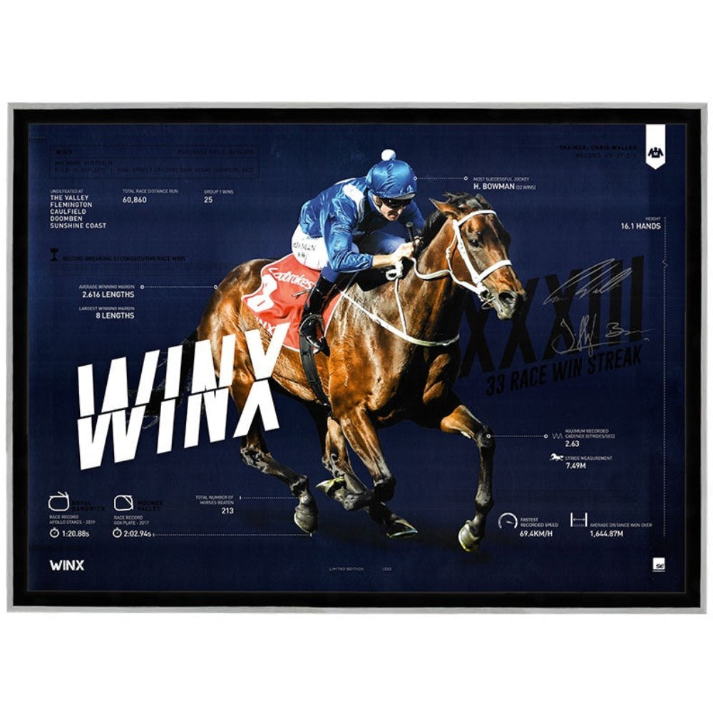 Winx Infographic Sportsprint Framed