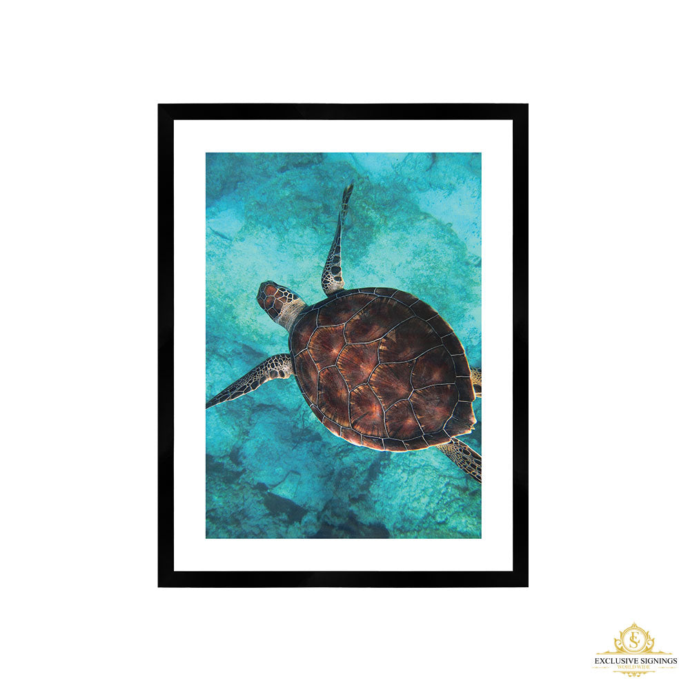 Sea Turtle Print Large White Framed