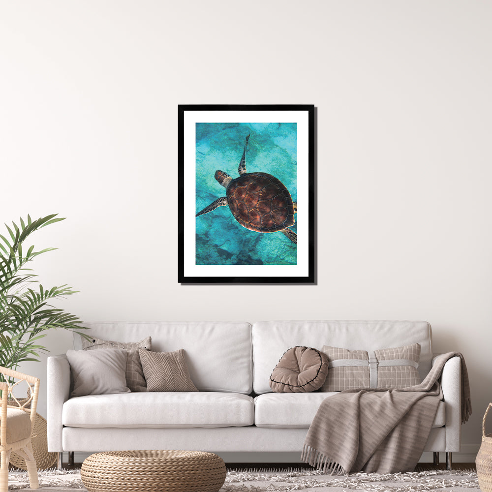 Sea Turtle Print Large White Framed