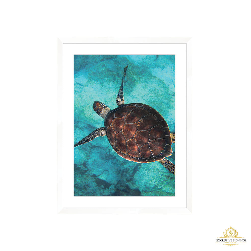 Sea Turtle Print Large Black Framed