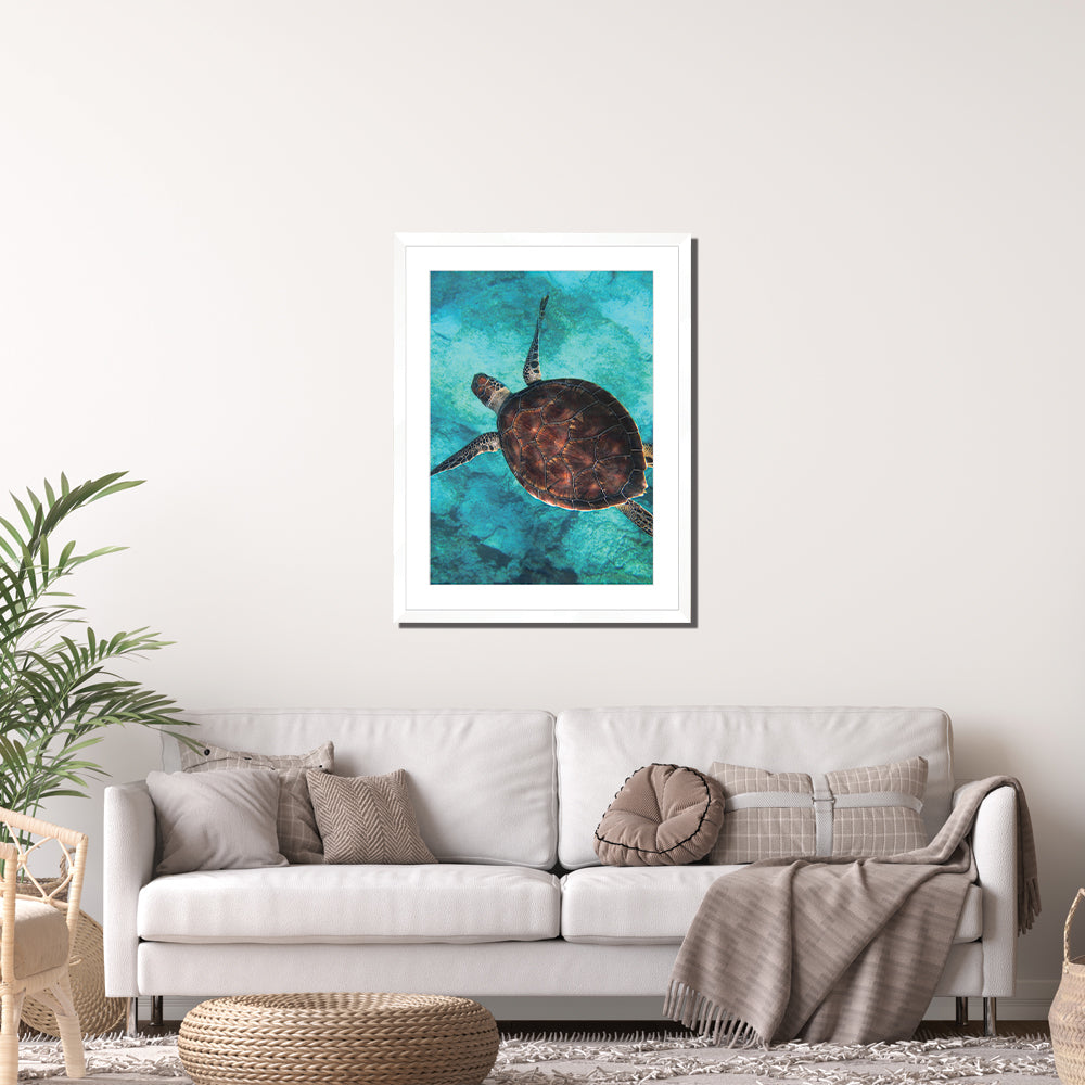 Sea Turtle Print Large White Framed