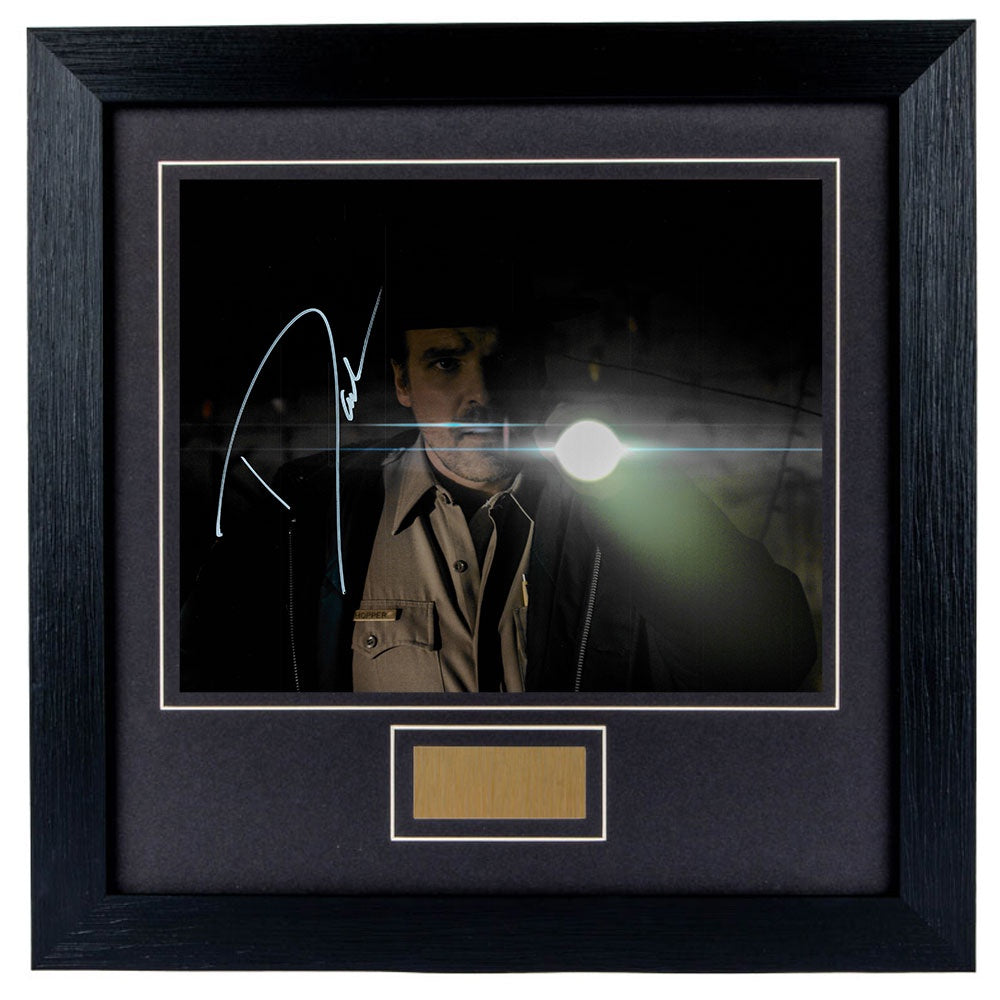David Harbour Personally Signed Stranger Things  8 x 10 Photograph Framed