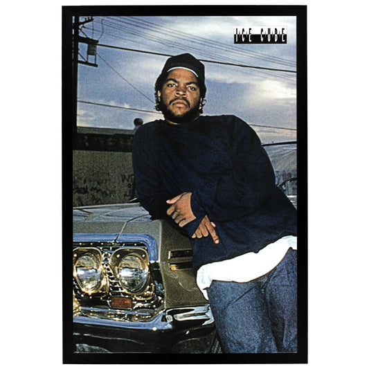 Ice Cube Poster Framed