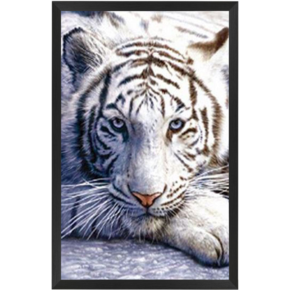 Tiger - White Tiger Poster Framed