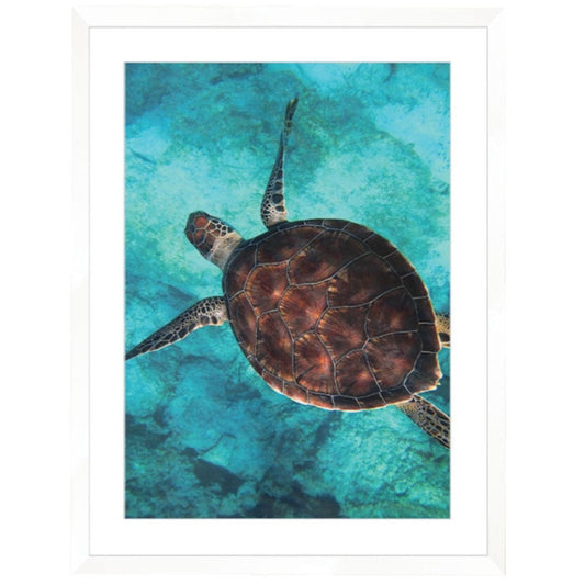 Sea Turtle Print Large White Framed