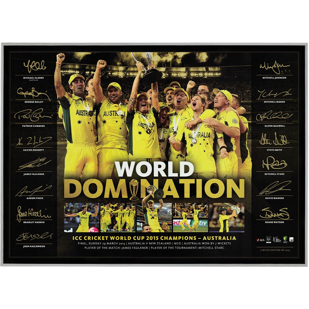 2015 World Domination ICC Print Framed