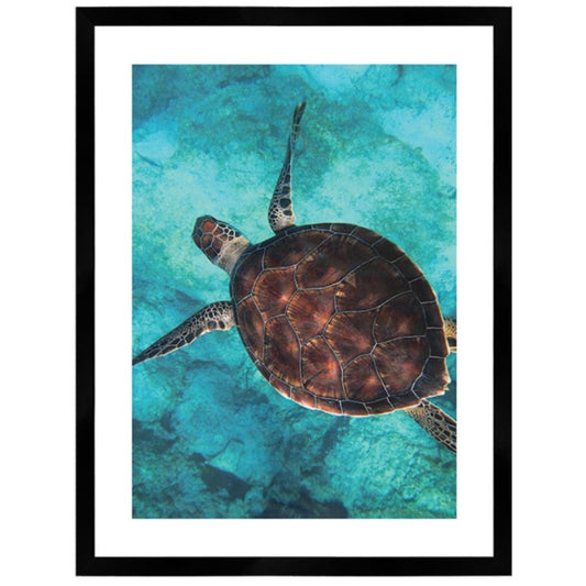 Sea Turtle Print Black Framed