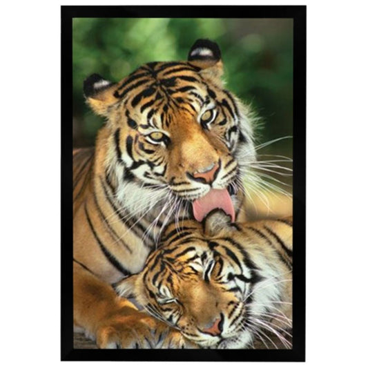 Tiger - Mothers Love Poster Framed