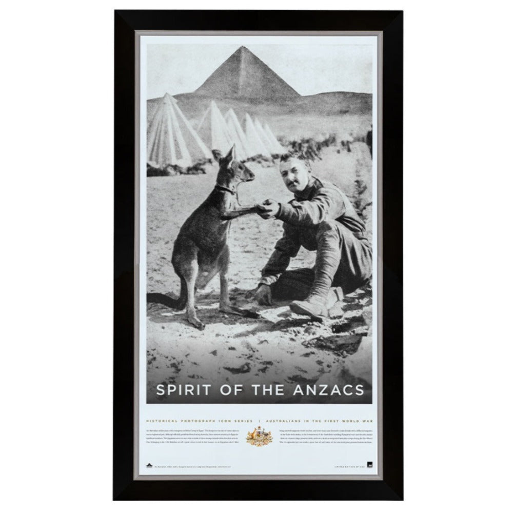 Spirit Of Anzac Portrait Framed